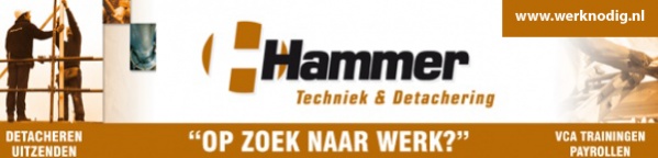 Hammer T&D