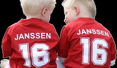 Voorjaarsindeling Mini's