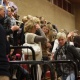 D1 - Tornado D1, 15-10-2011 