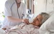 Palliatieve / terminale zorg