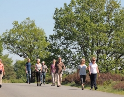Afbeelding bij Wandel je fit