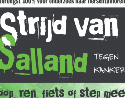 Afbeelding bij De strijd van Salland