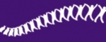 Logo van Rug Netwerk Twente